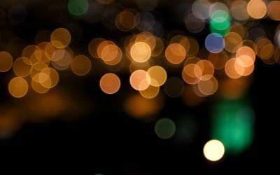 Il miracolo delle mangrovie